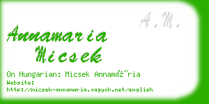 annamaria micsek business card